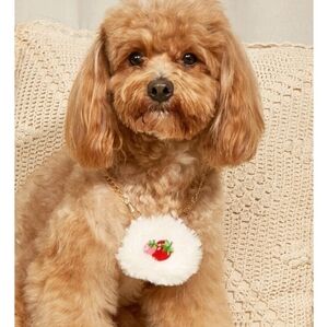 Dog purse - furry with strawberry design 🍓